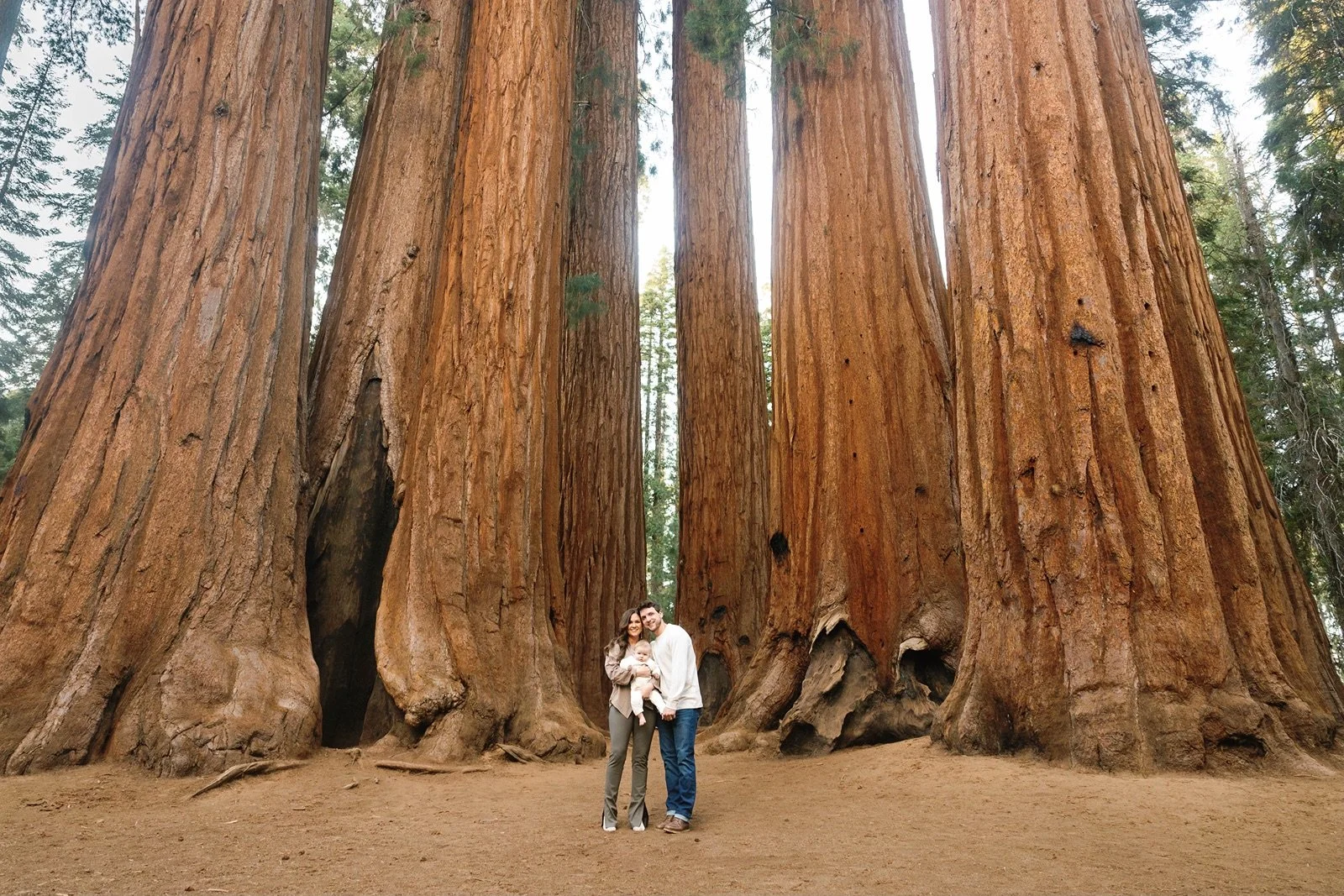 sequoia-national-park-family-photographer9.jpg