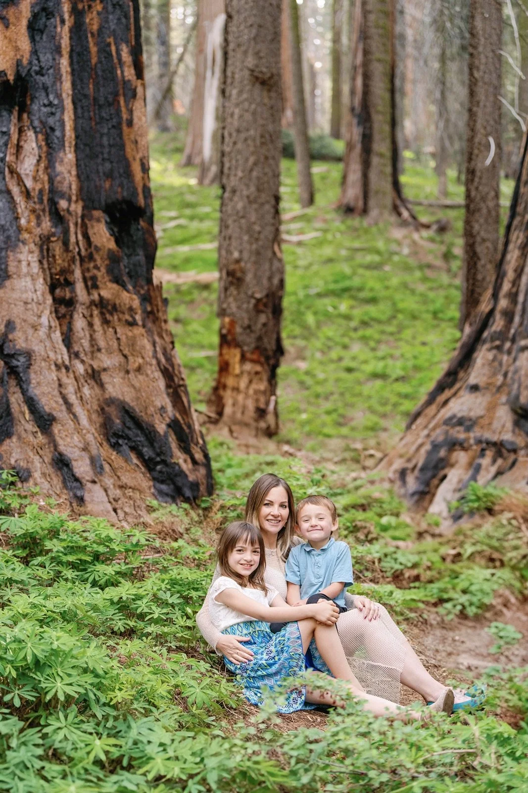 sequoia-national-park-elopement-photographer-219.jpg