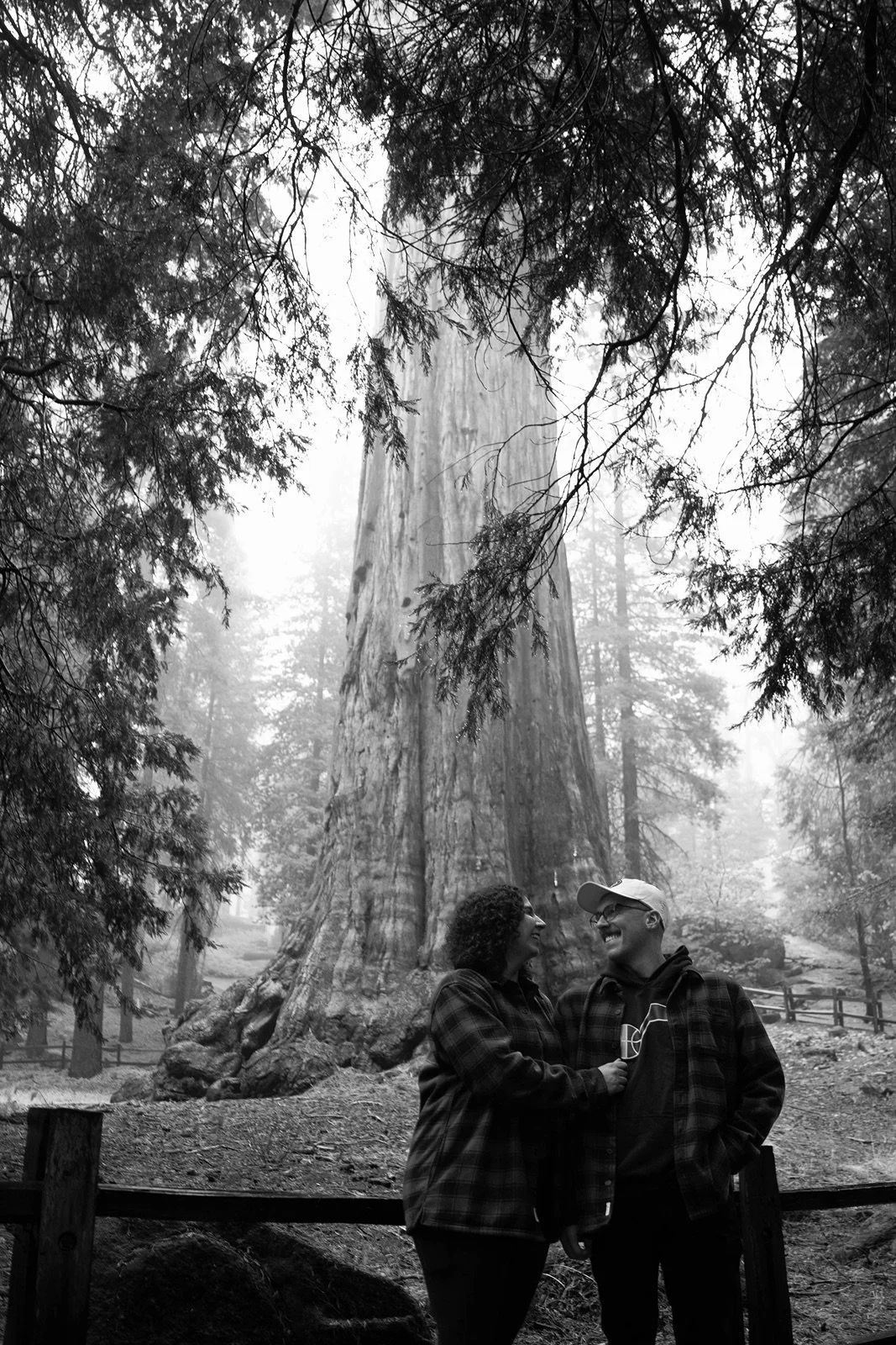sequoia-proposal-photographer-3.jpg