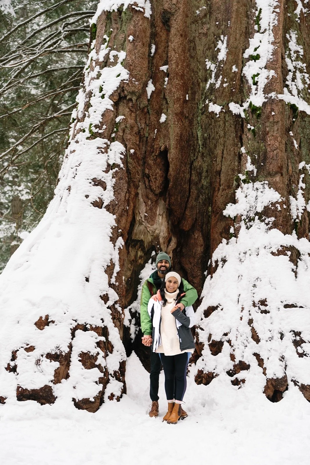 surprise-proposal-beetle-rock-sequoia-photo64.jpg