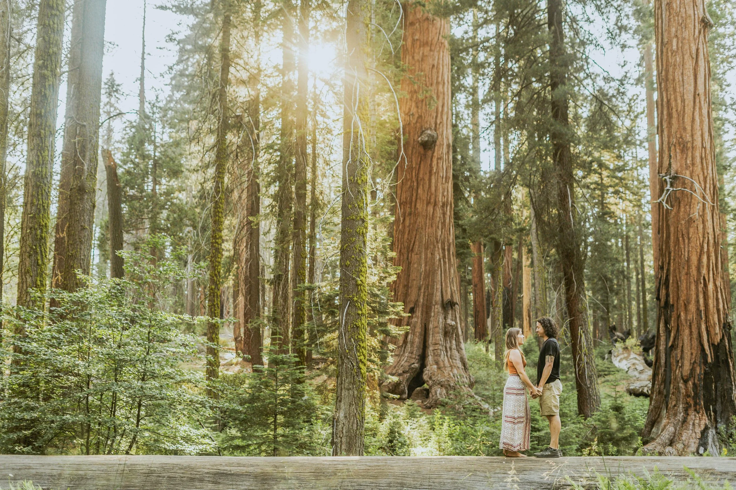 -sequoia-national-park-engagement-photos00179.jpg