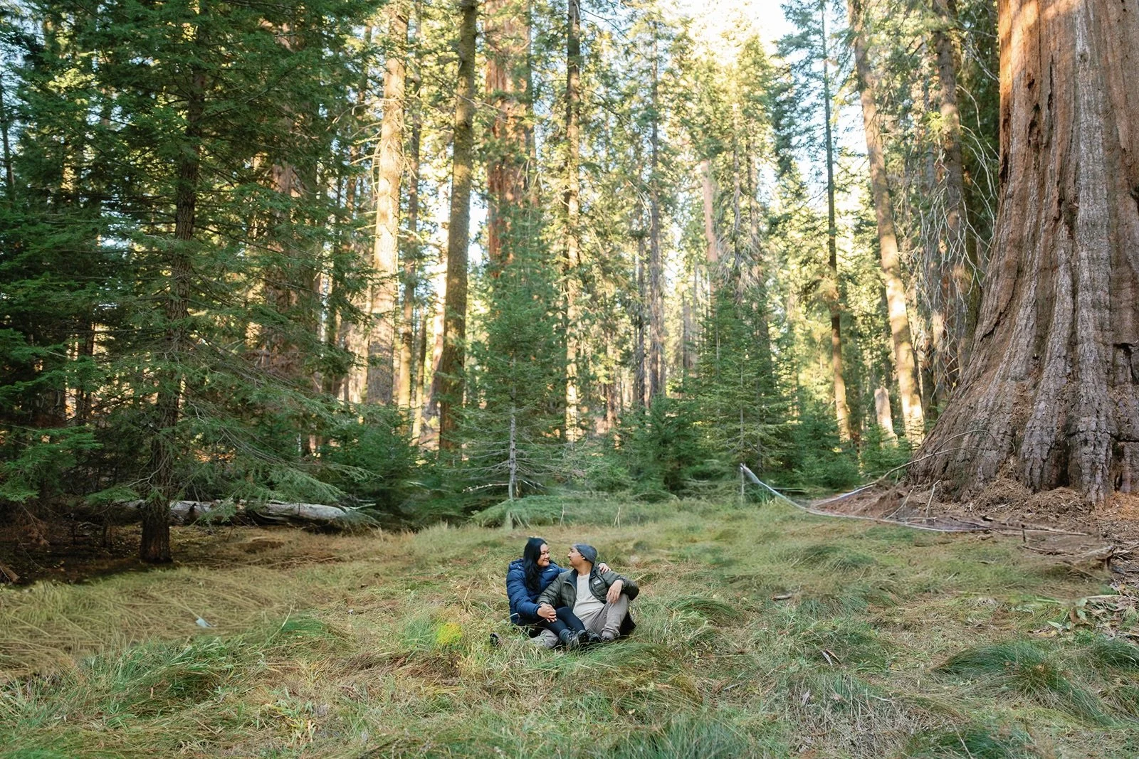 sequoia-national-park-engagement-photographer-53.jpg