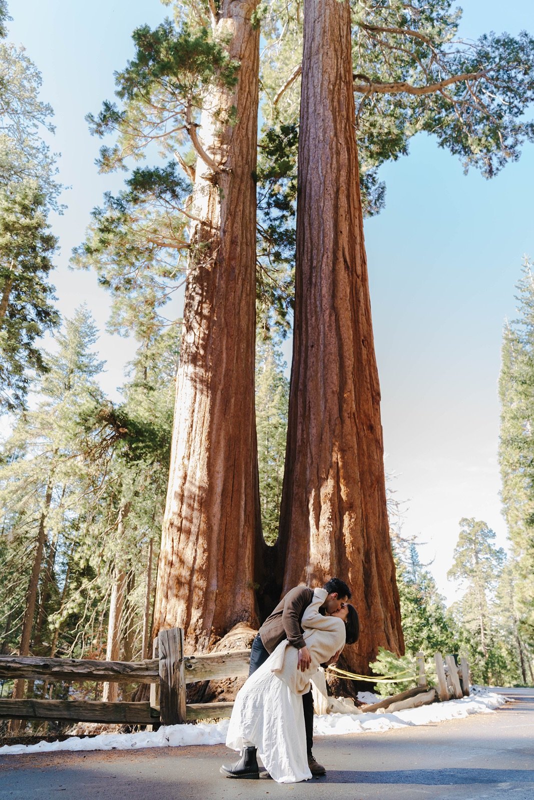 grant-grove-kings-canyon-sequoia-photographer13.jpg