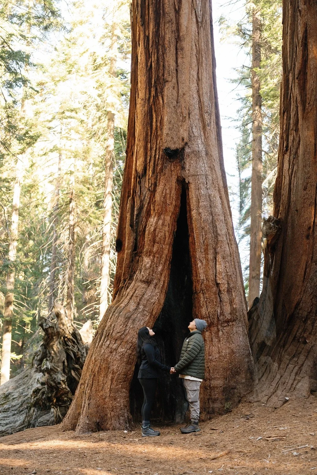 sequoia-national-park-engagement-photographer-79.jpg