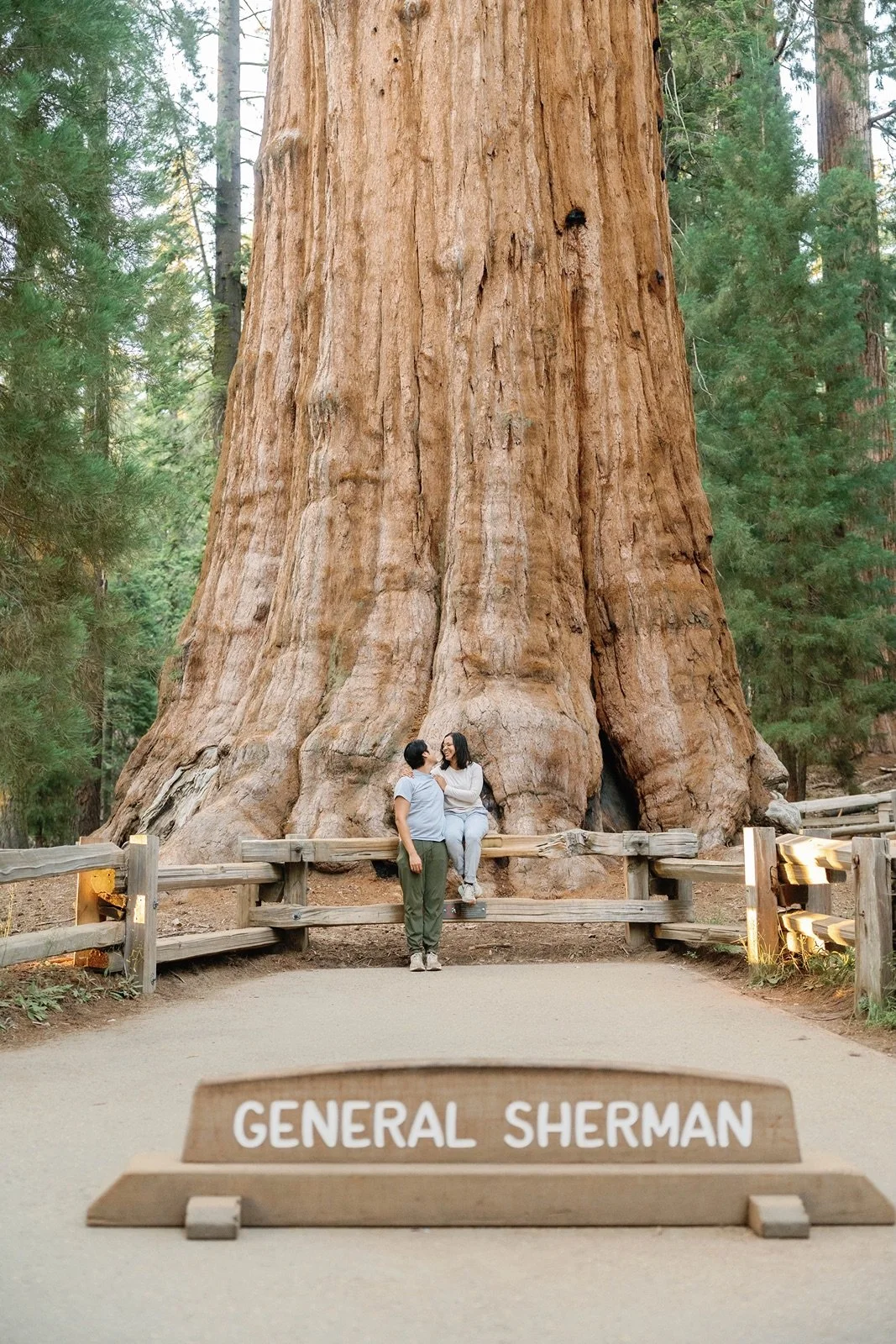Sequoia National Park Engagement Photos Guide