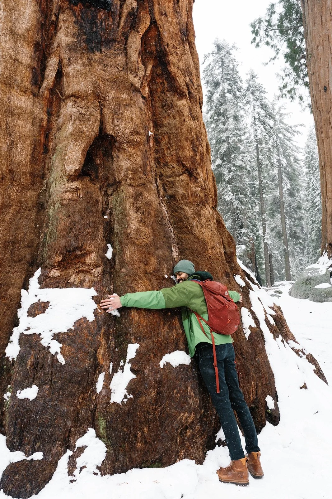 surprise-proposal-beetle-rock-sequoia-photo22.jpg