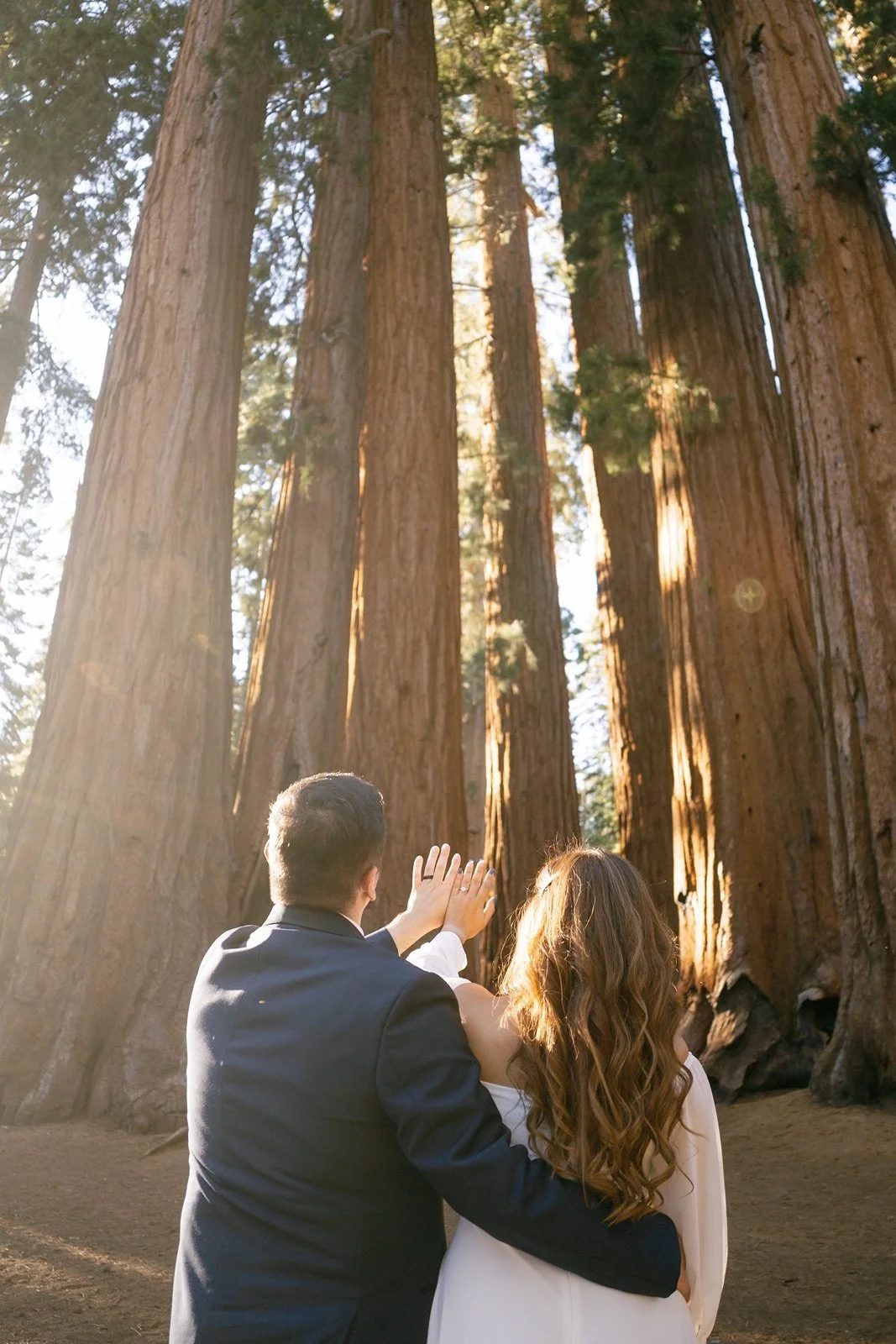 sequoia-national-park-elopement287.jpg
