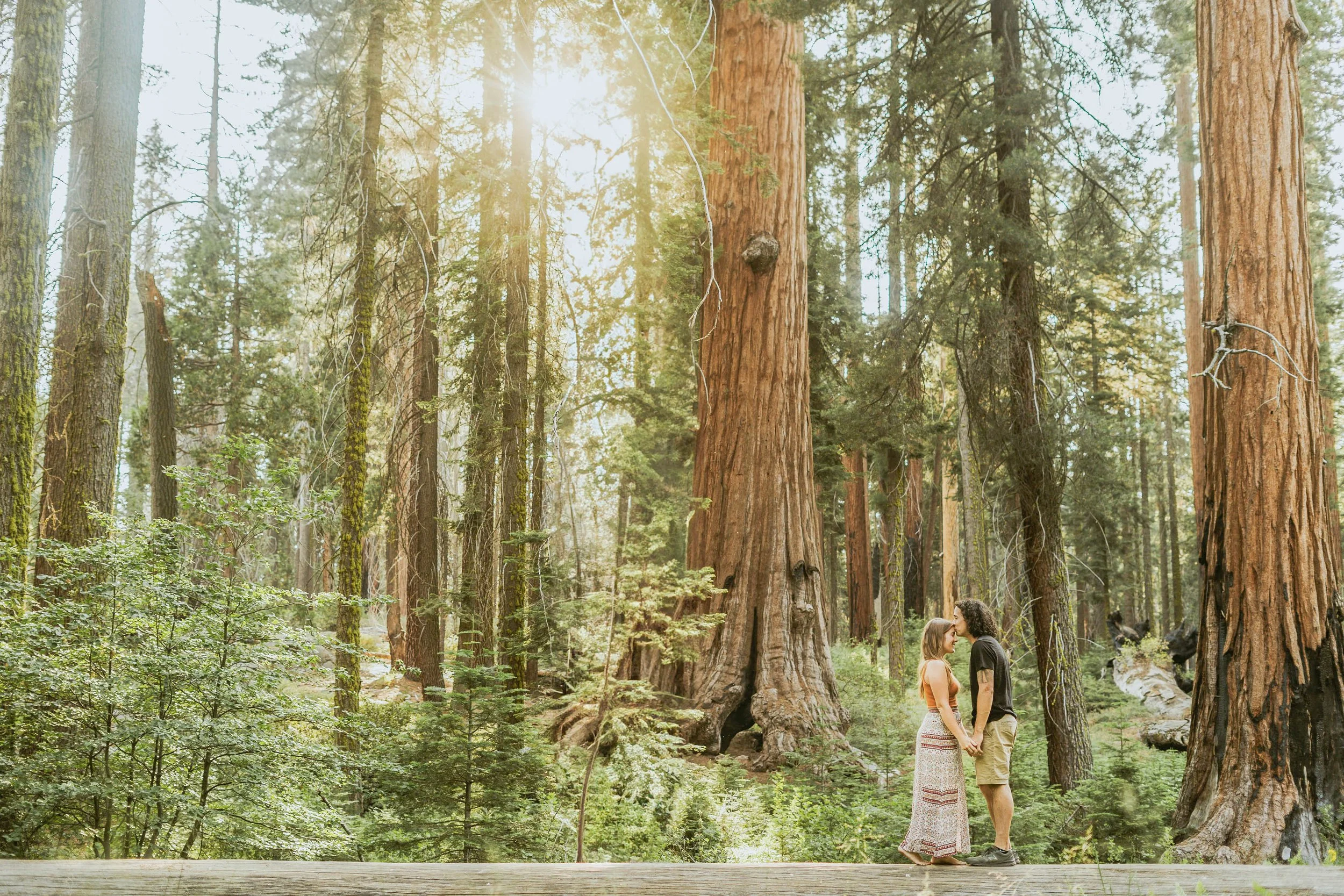 sequoia-national-park-engagment-photographer-1.jpg