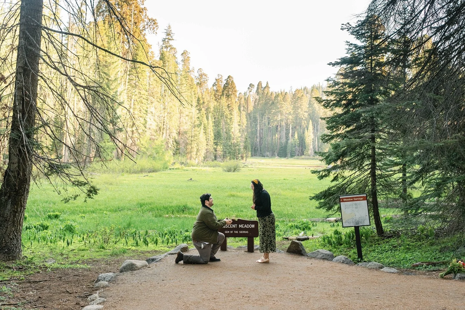 crescent-meadow-proposal-sequoia-2.jpg
