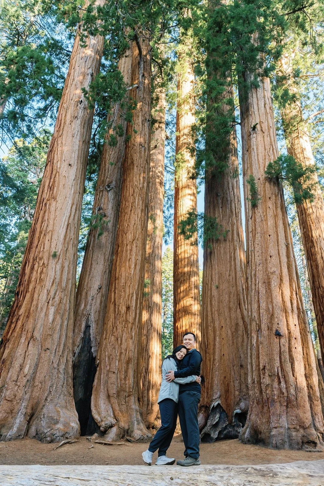 sequoia-national-park-engagement-23.jpg