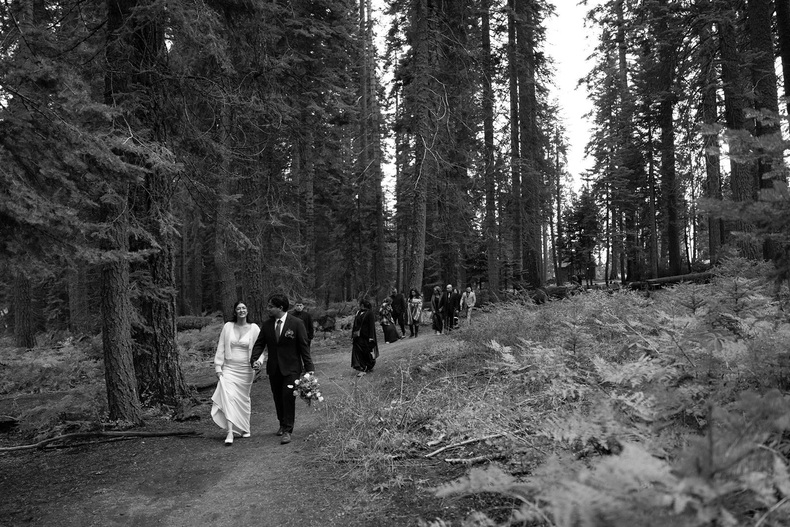 sequoia-elopement-photographer-91.jpg