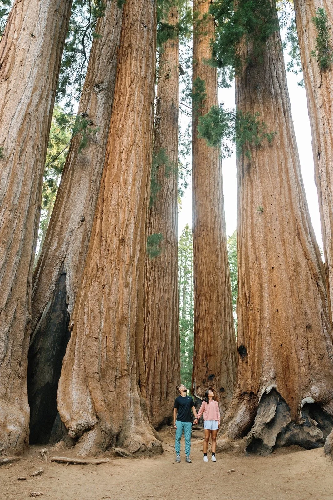 Sunset Engagement Session | Sequoia National Park