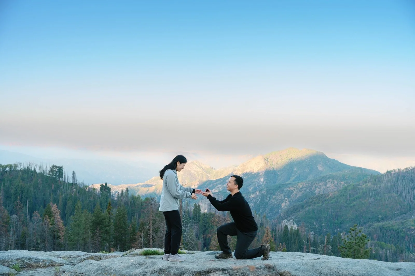 where-to-propose-in-sequoia16.jpg
