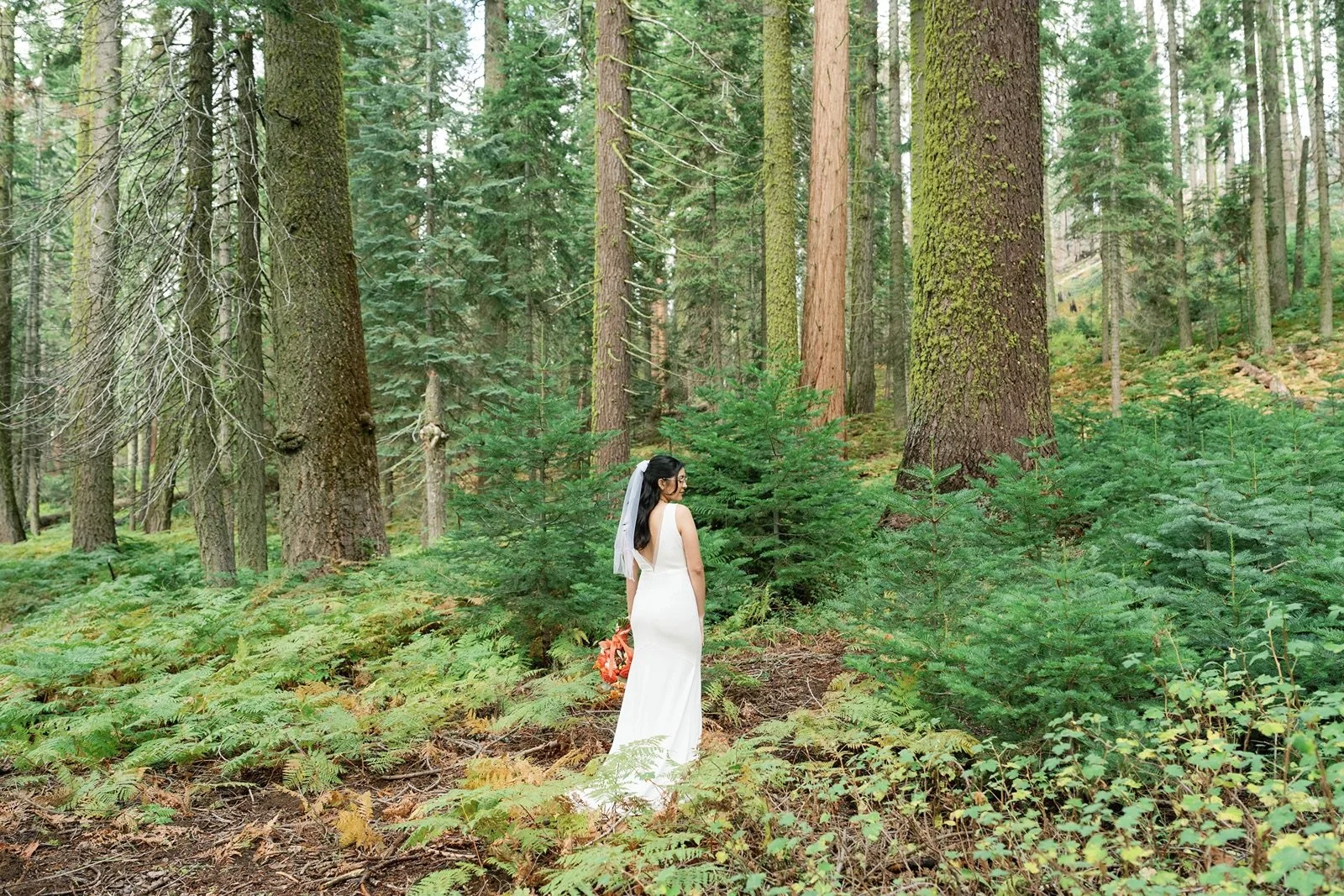 sequoia-elopement-photographer-47.jpg