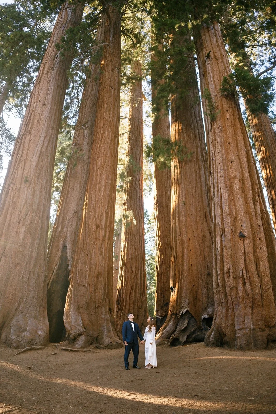 sequoia-national-park-elopement266.jpg