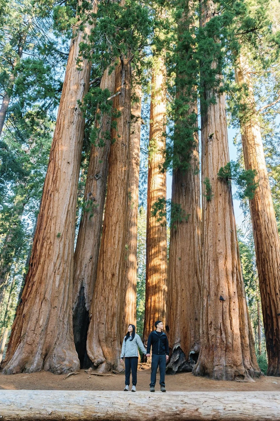 sequoia-national-park-parker-group-engagement-15.jpg