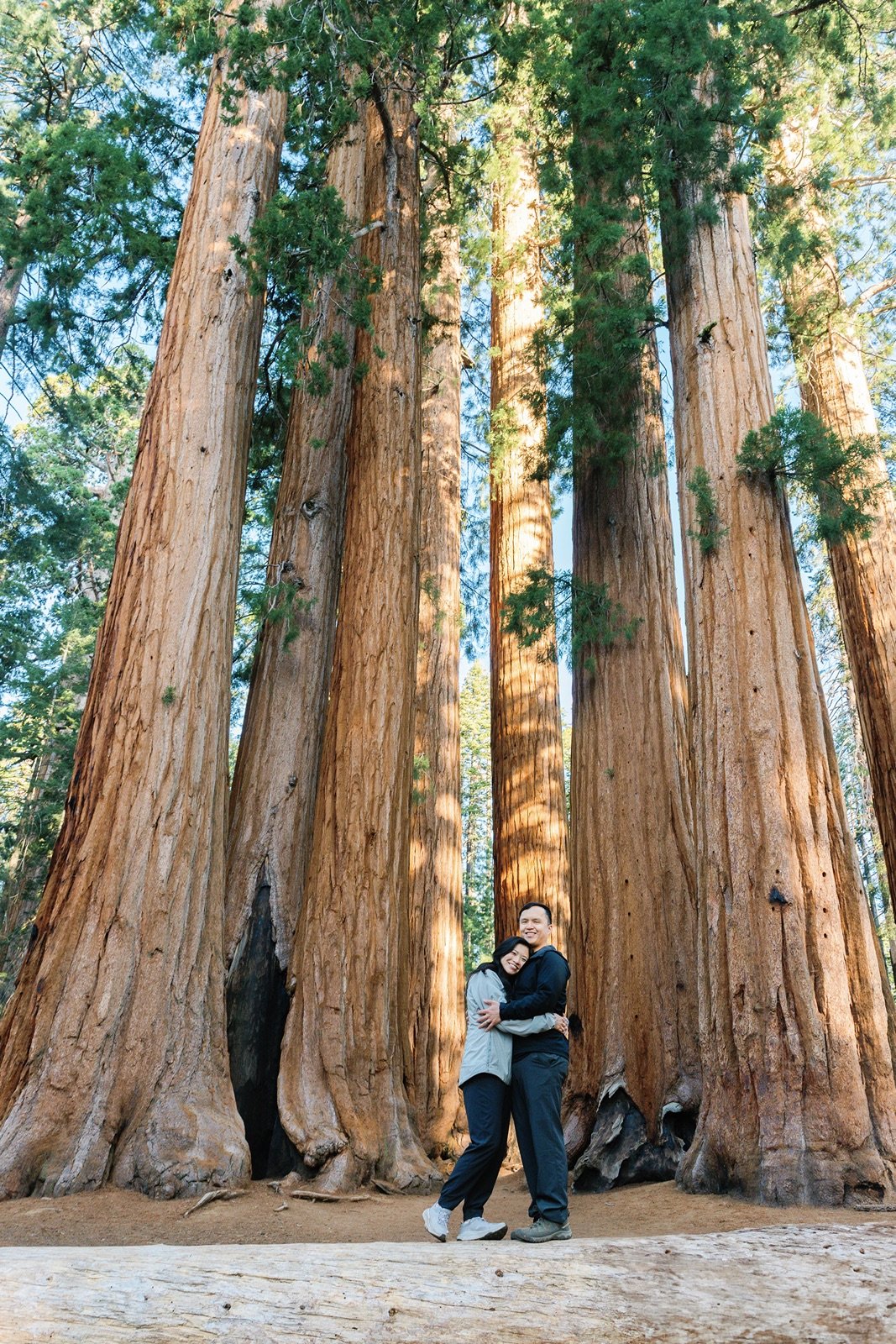 sequoia-proposal-photographer6.jpg