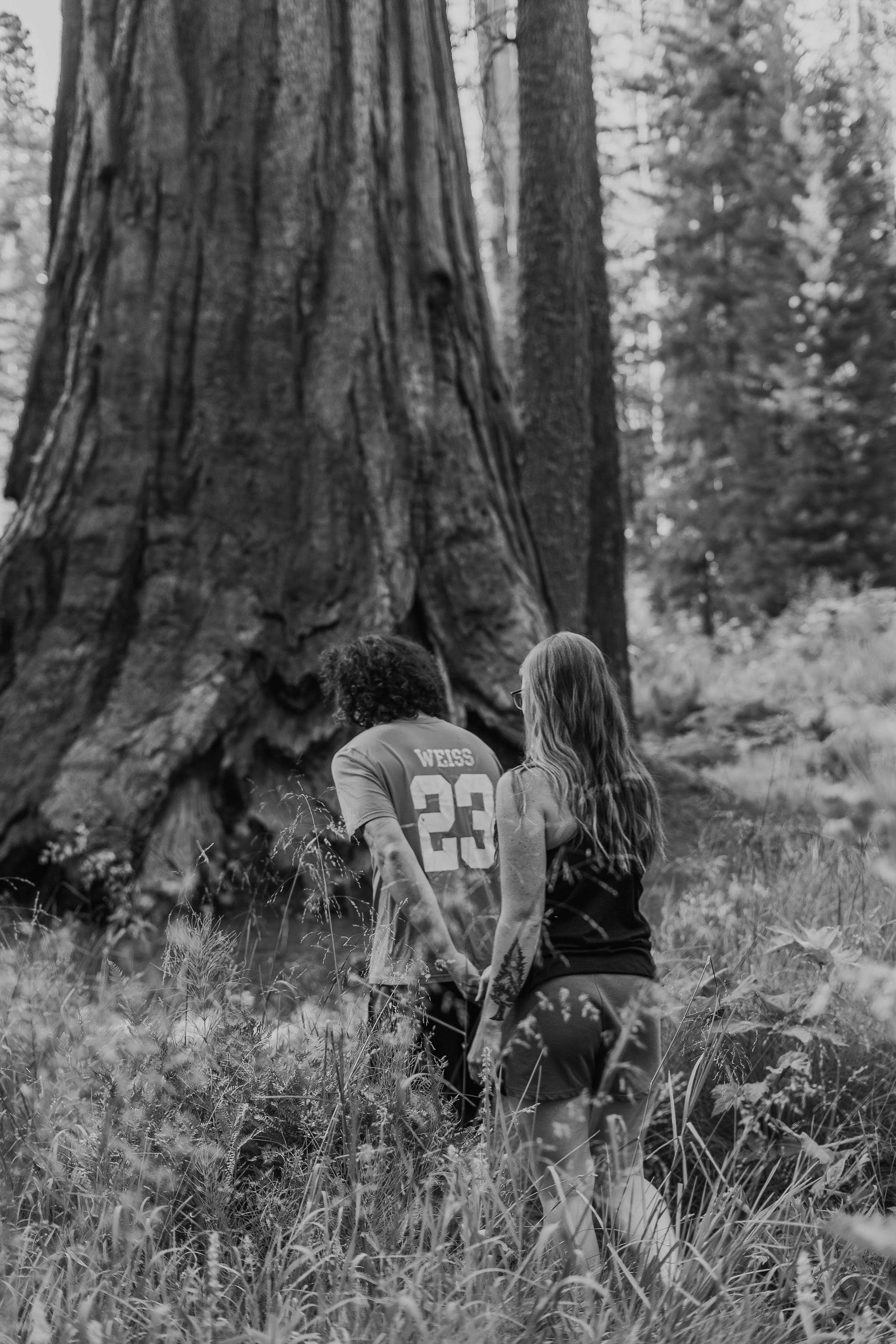 -sequoia-national-park-engagement-photos00055.jpg