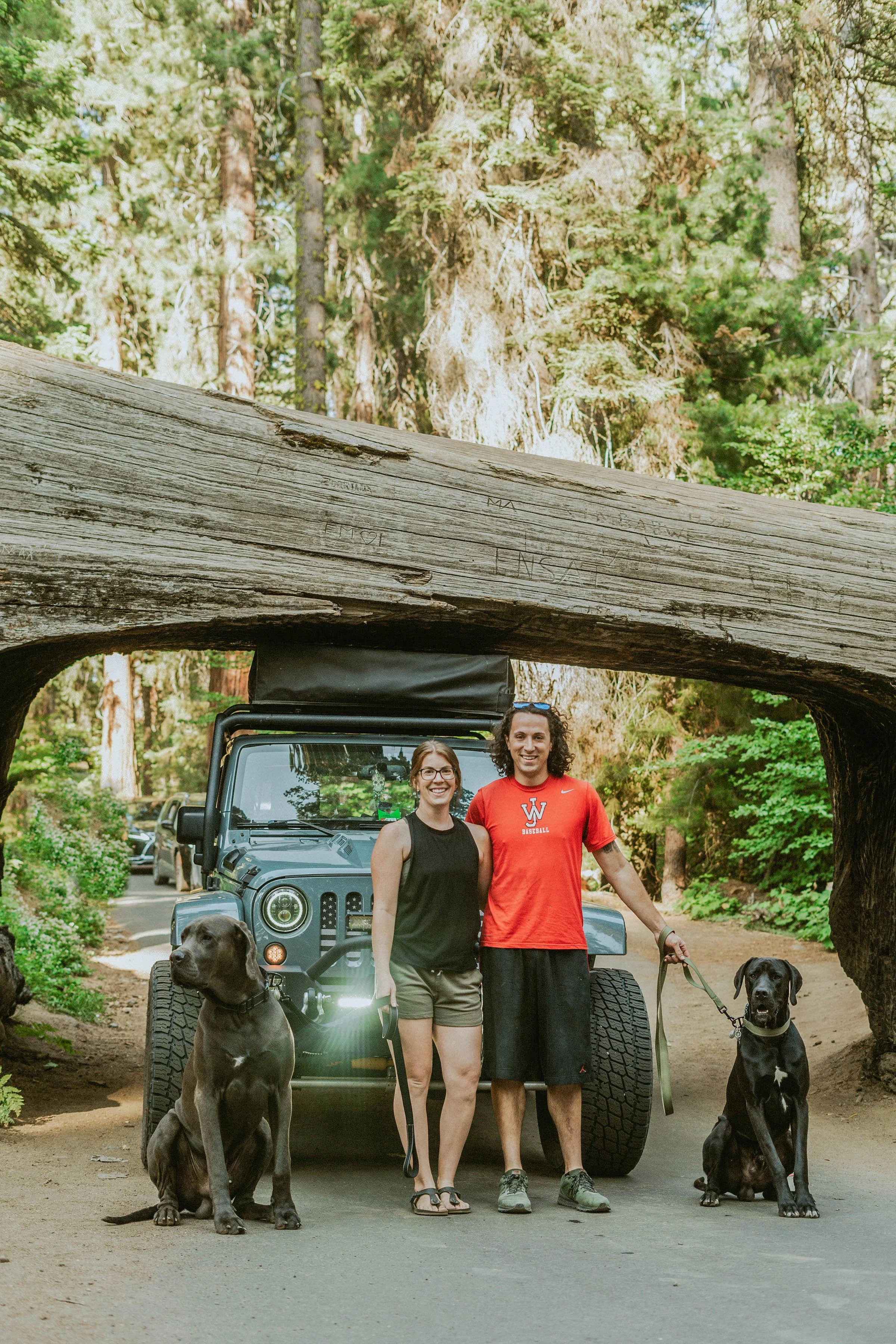-sequoia-national-park-engagement-photos00005.jpg