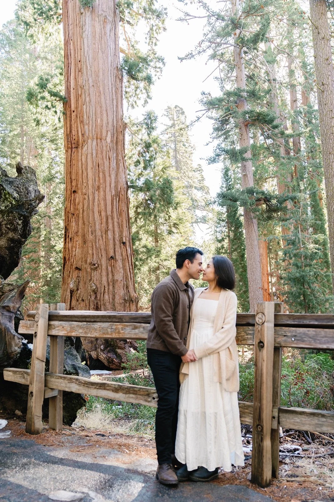 grant-grove-kings-canyon-sequoia-photographer3.jpg