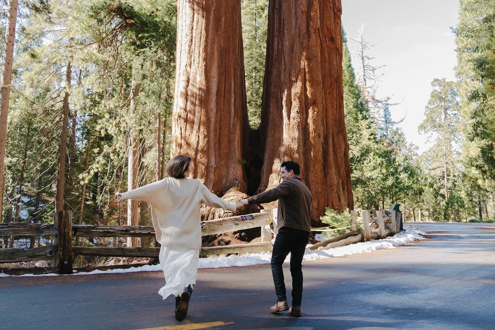sequoia-national-park-elopement-wedding-1.jpg