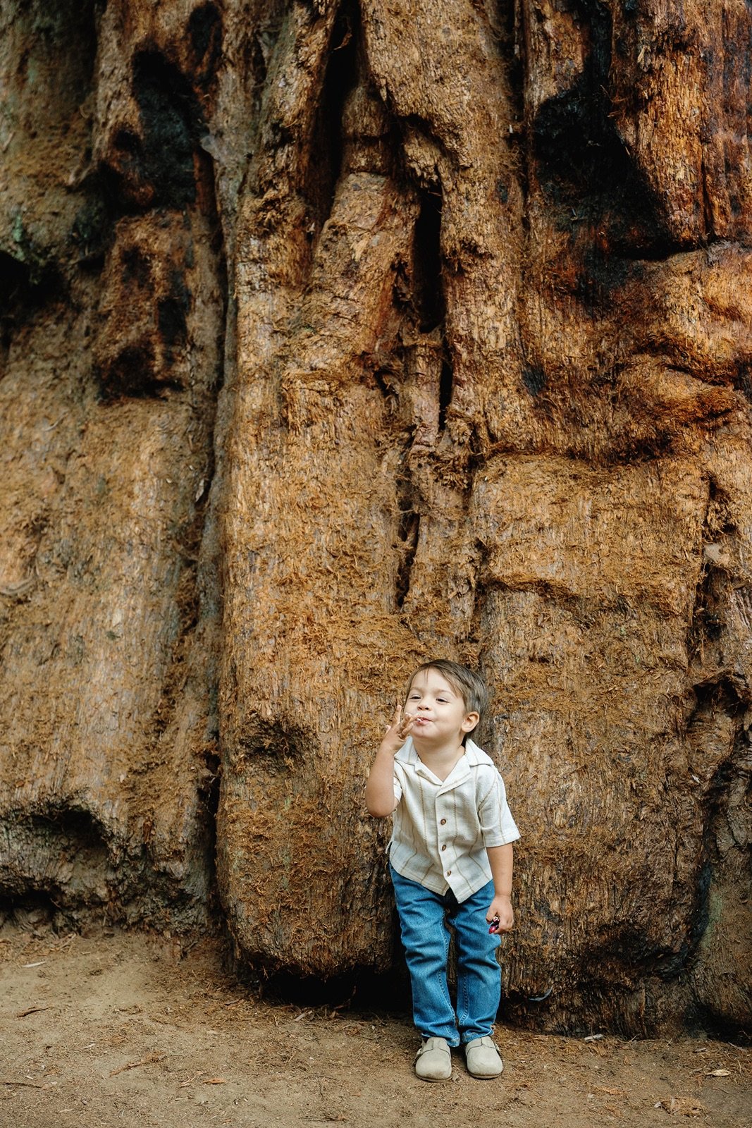 sequoia-national-park-maternity-photos62.jpg