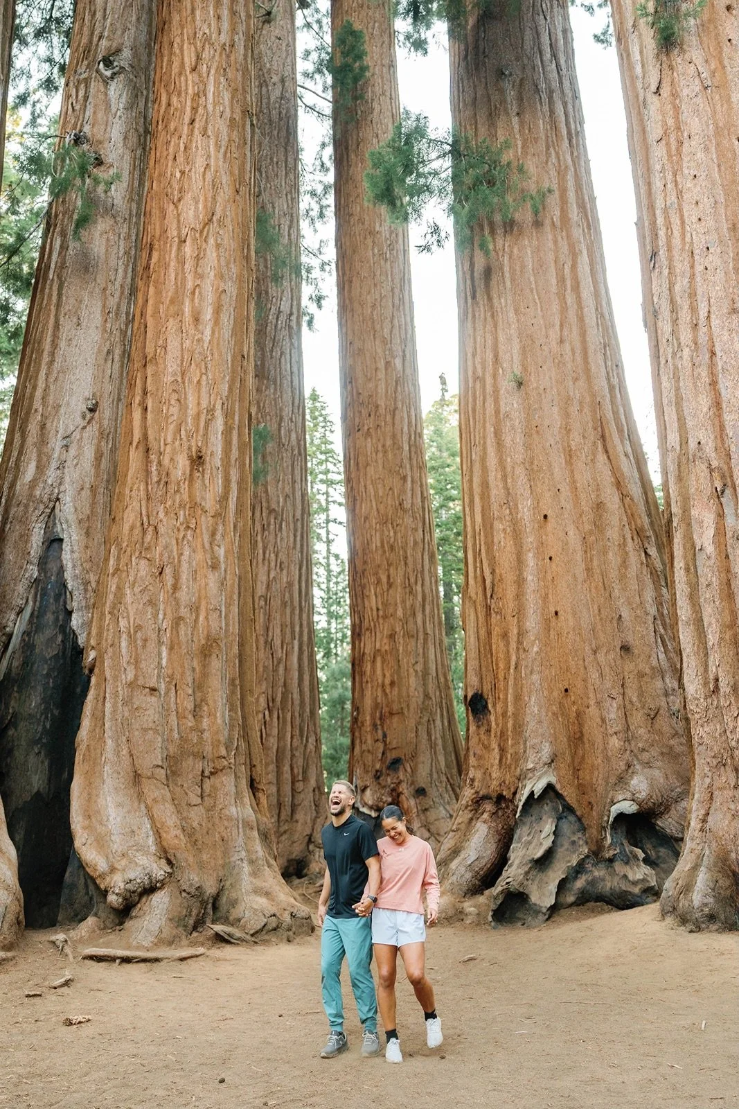 sequoia-national-park-engagment-session-2.jpg