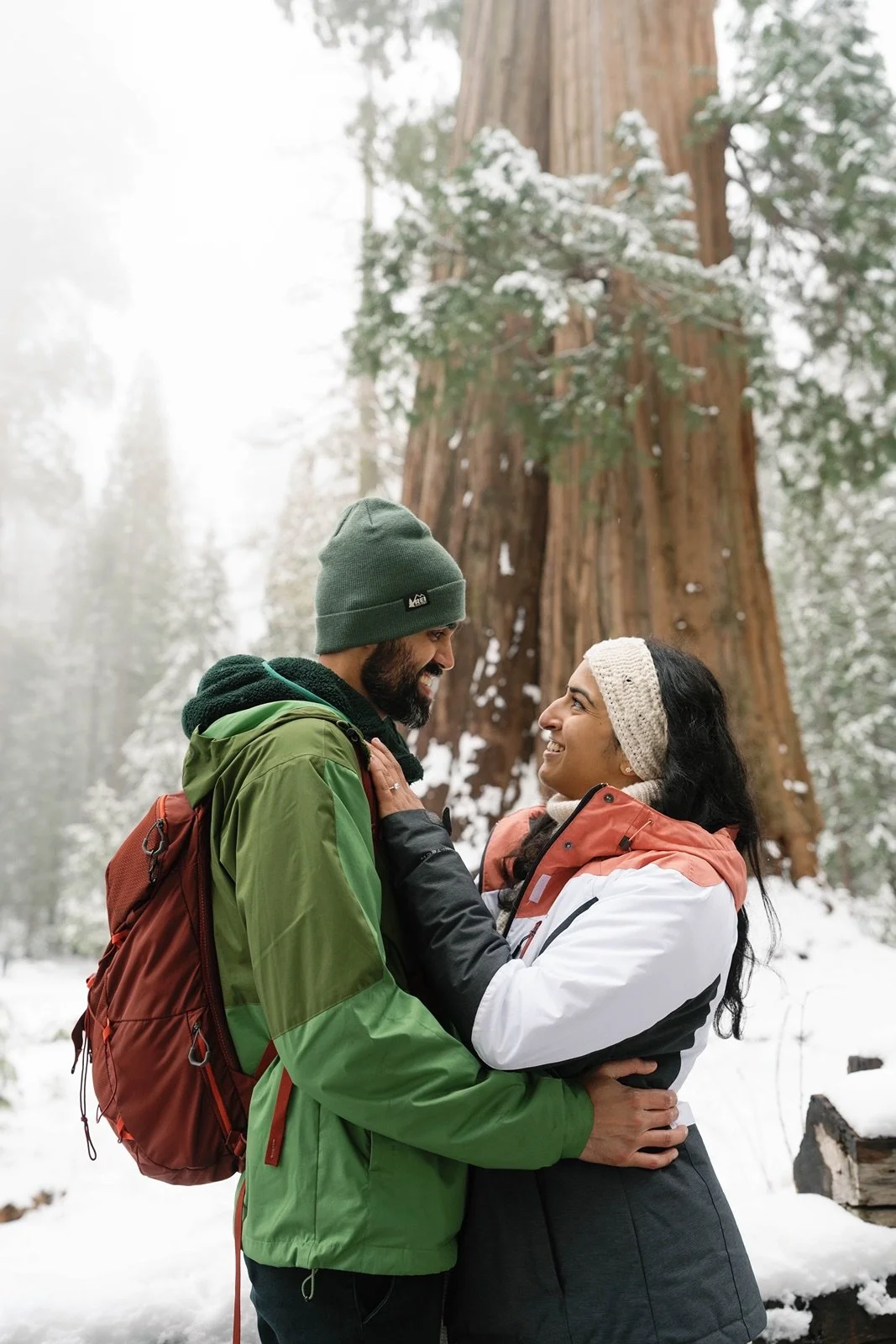 surprise-proposal-beetle-rock-sequoia-photo174.jpg
