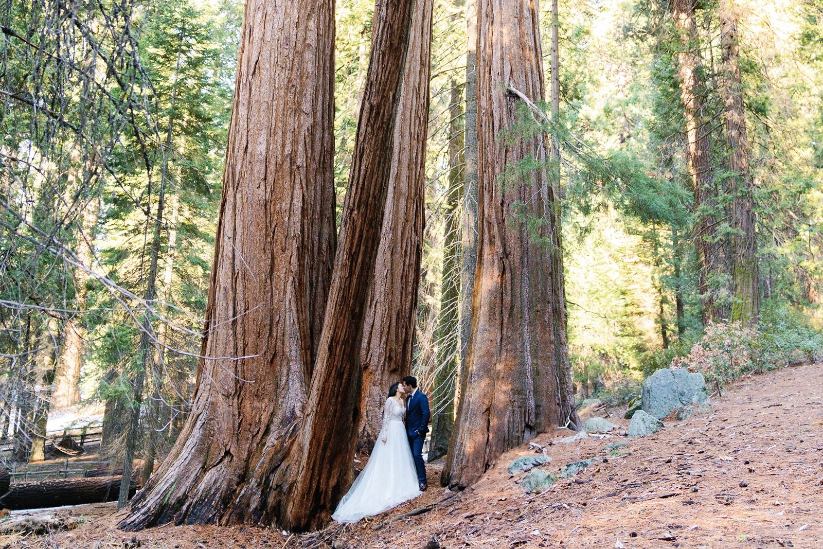 Best Time of Year to Elope in Sequoia National Park
