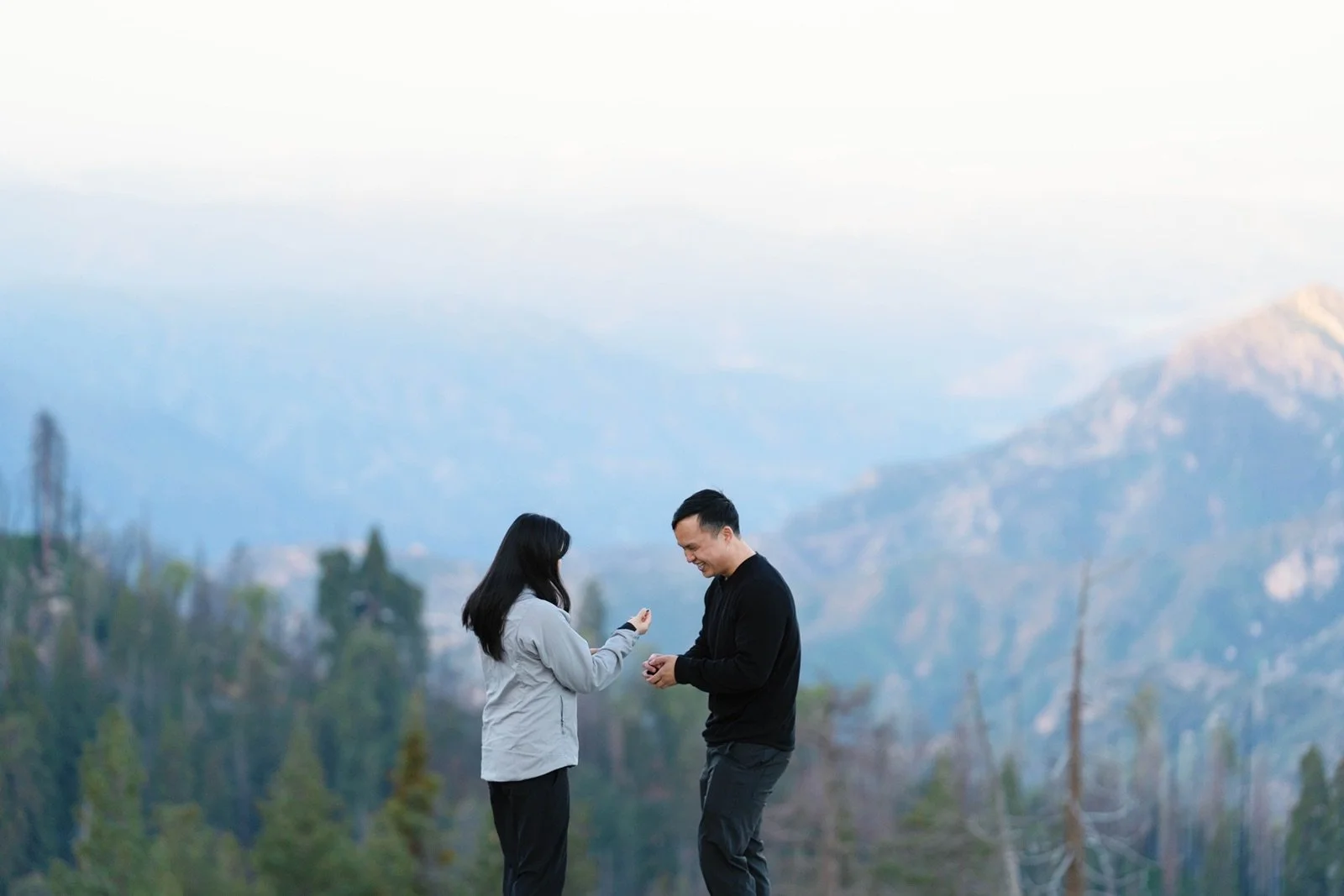 where-to-propose-in-sequoia13.jpg