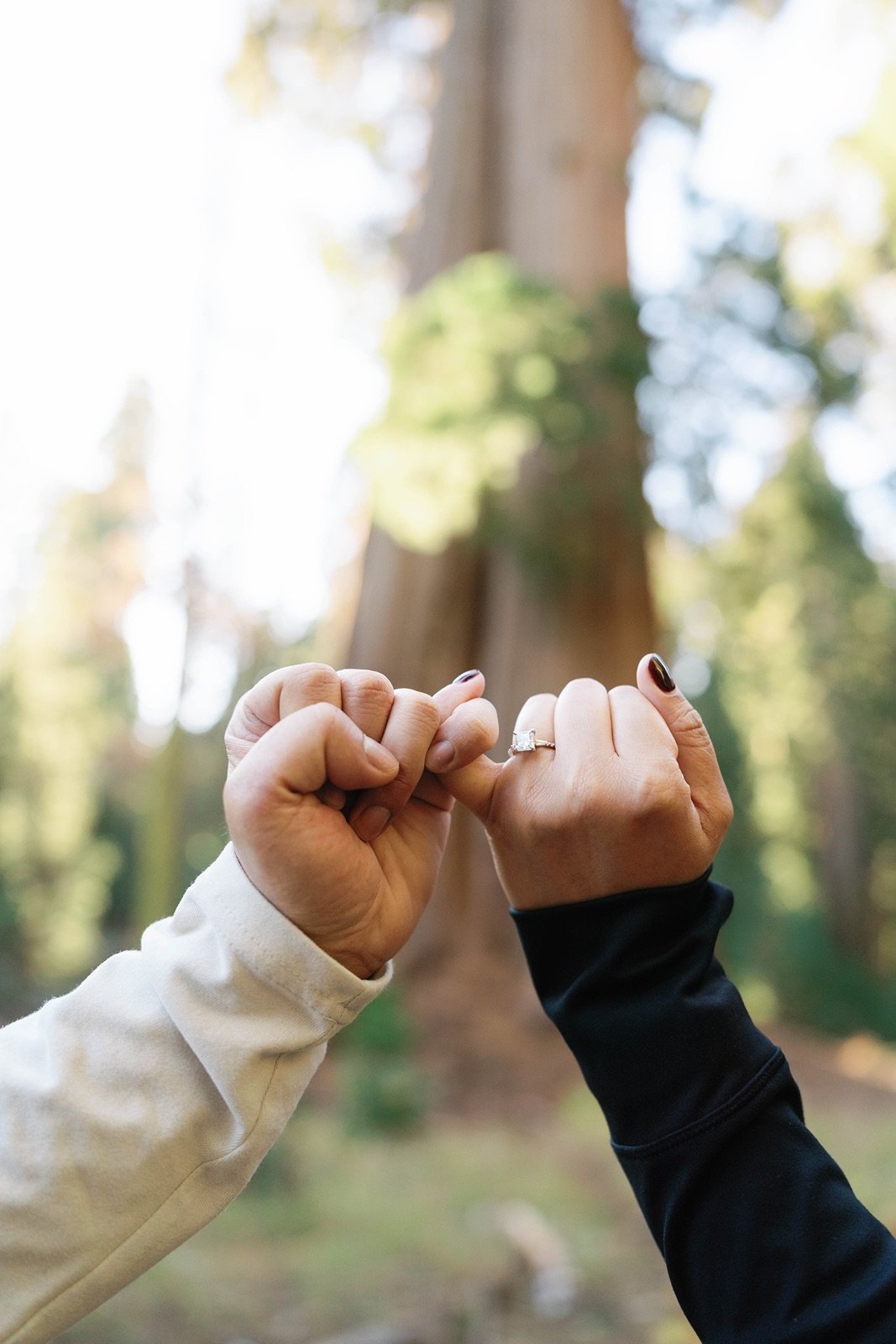 sequoia-national-park-engagement-photographer-91.jpg