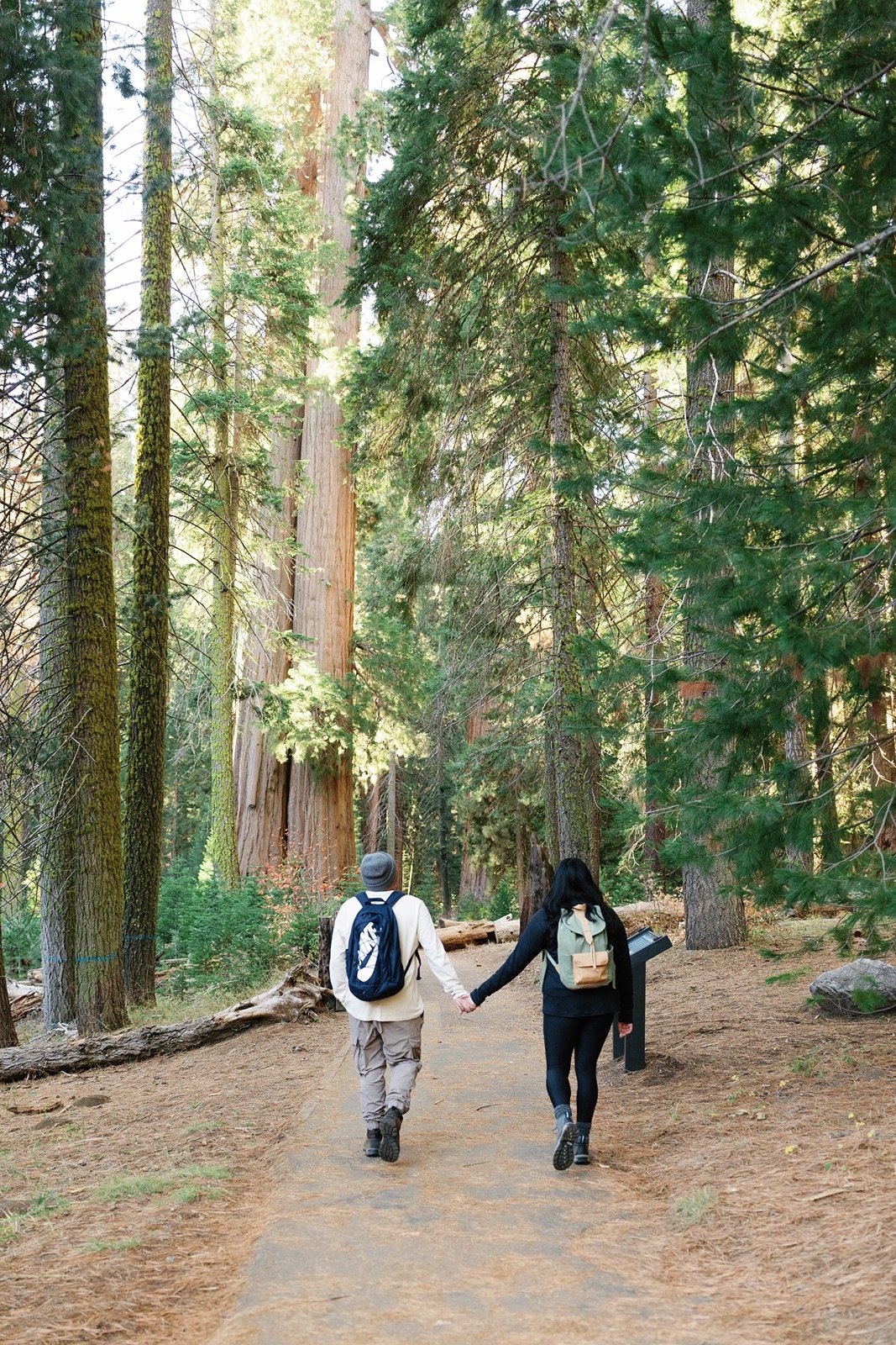 sequoia-national-park-engagement-photographer-6.jpg