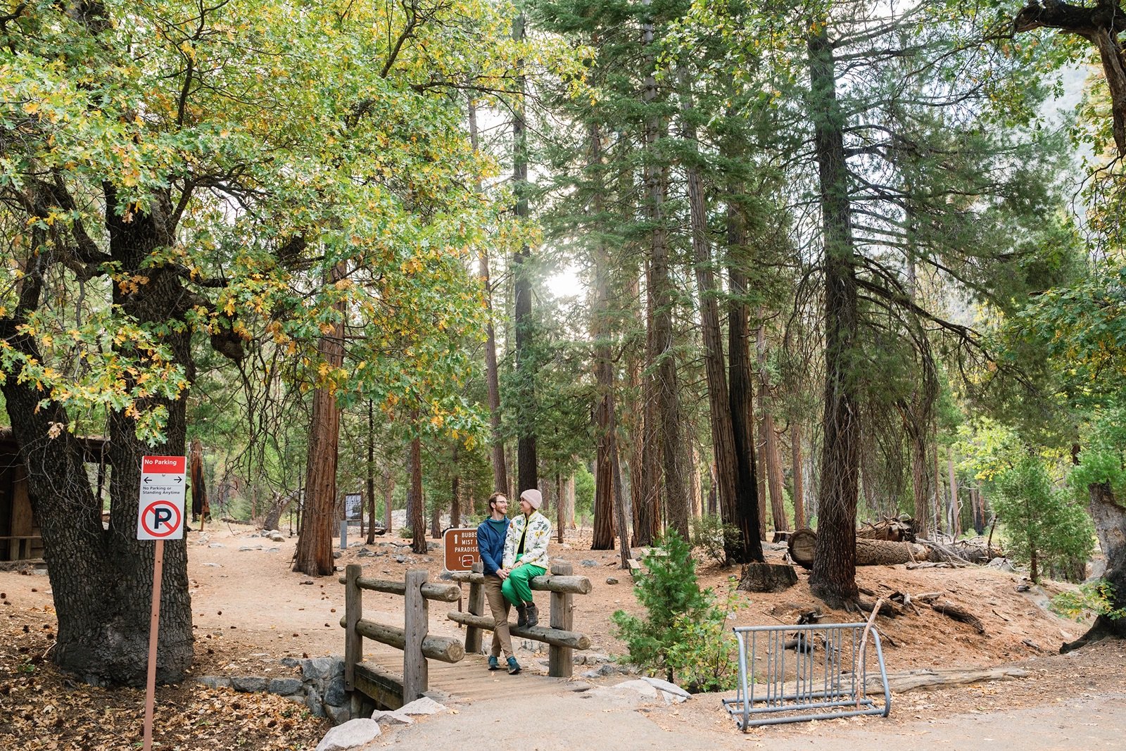 sequoia-fall-engagement-photo-10.jpg