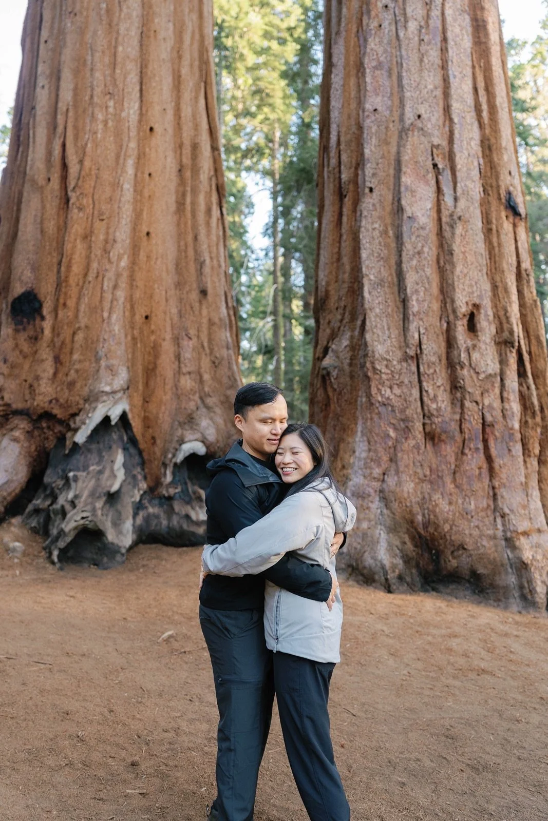 where-to-propose-in-sequoia11.jpg