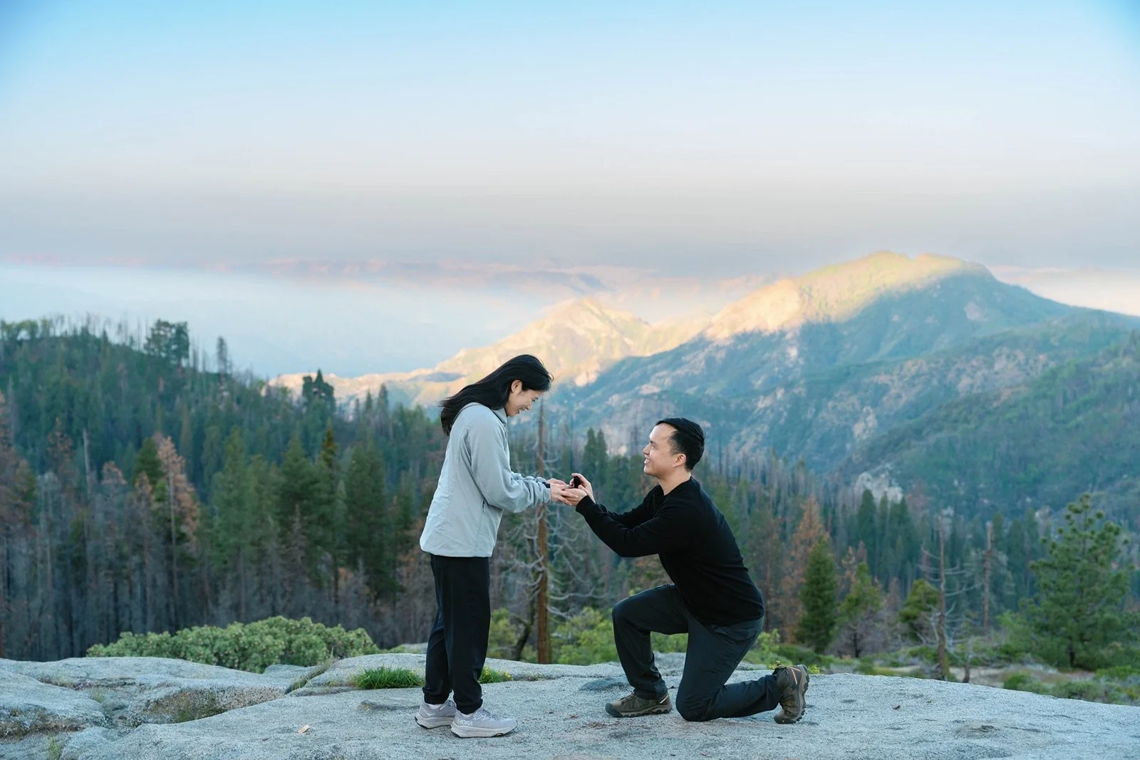 where-to-propose-in-sequoia14.jpg