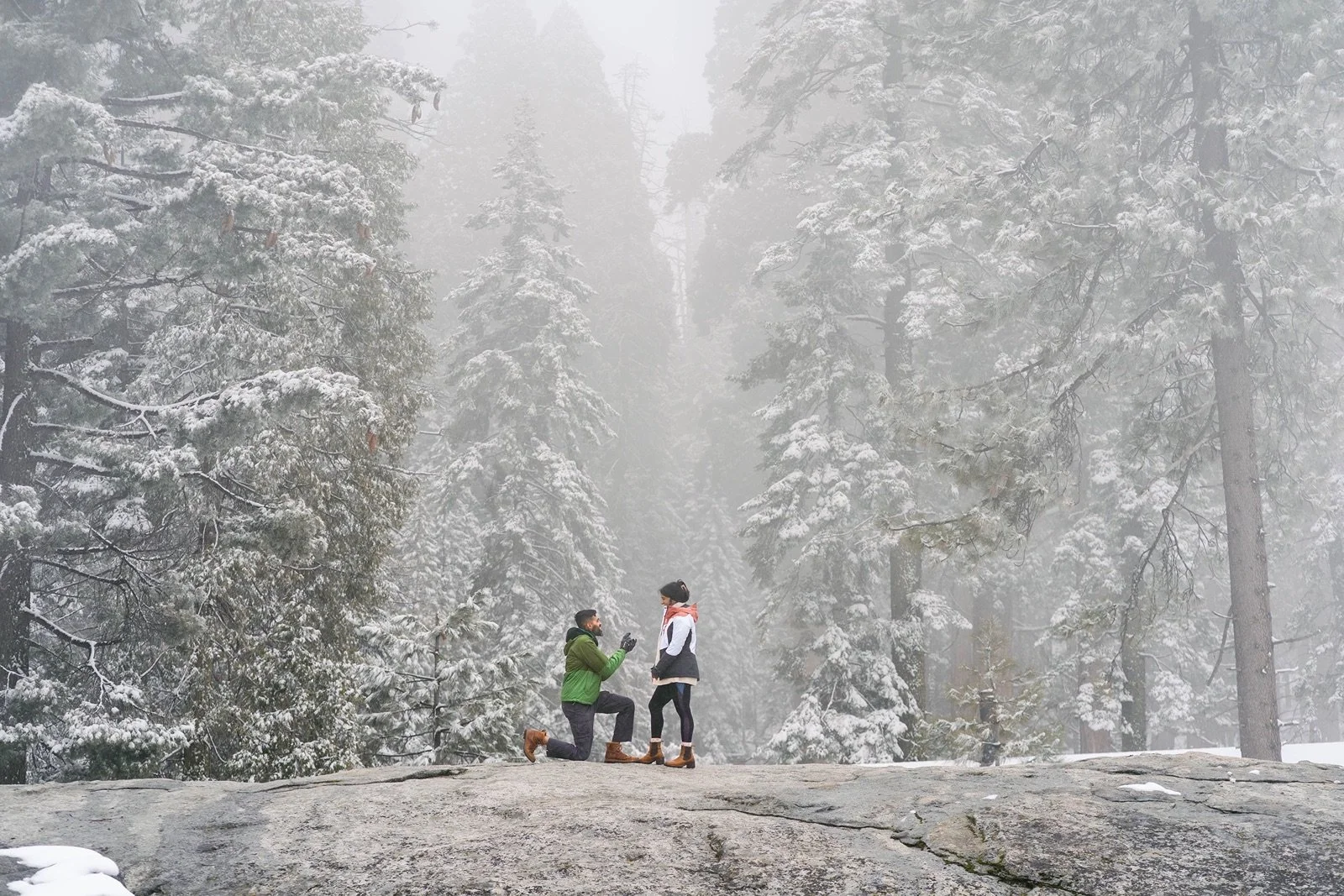 surprise-proposal-beetle-rock-sequoia-photo217.jpg