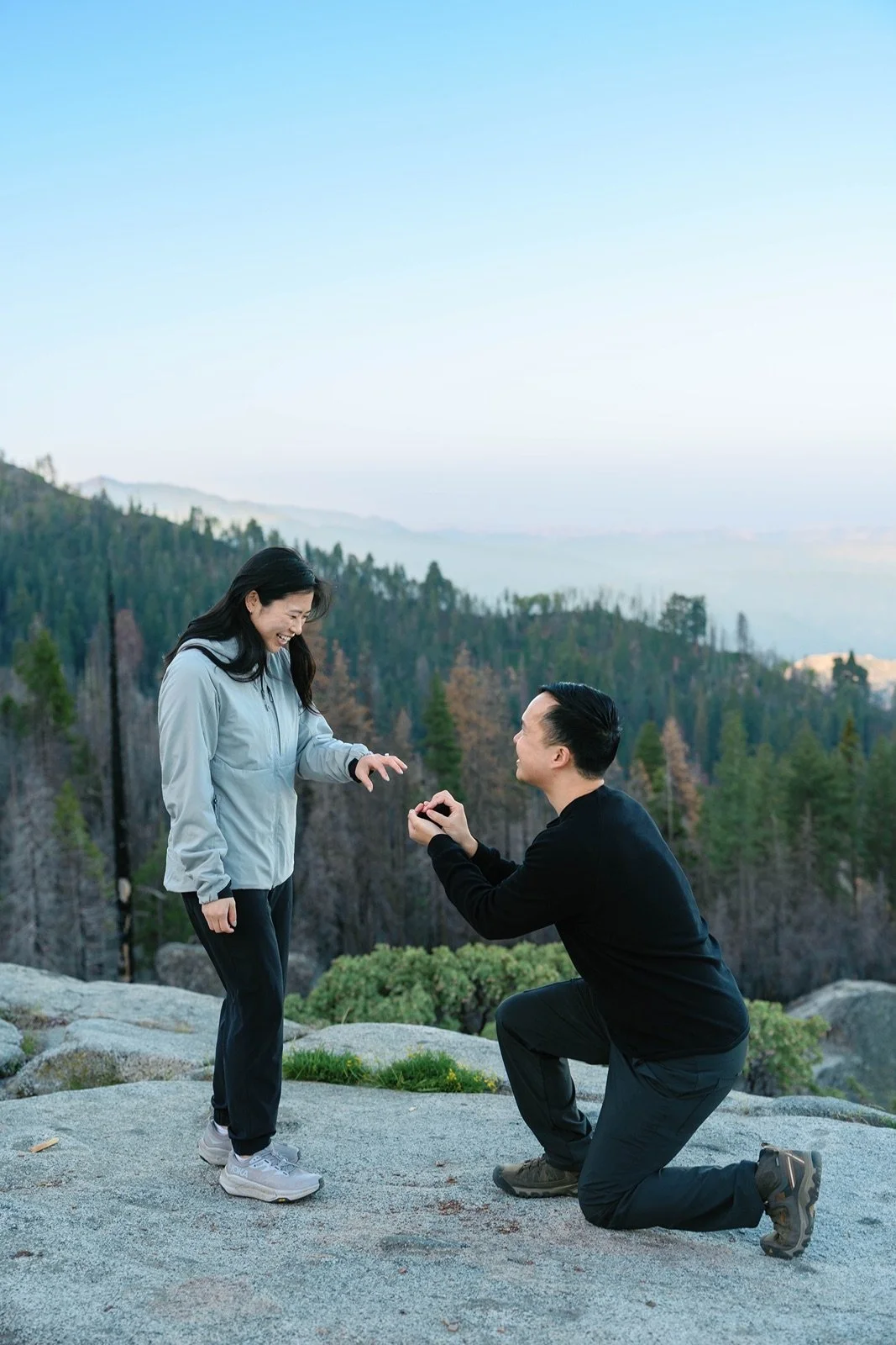 where-to-propose-in-sequoia17.jpg