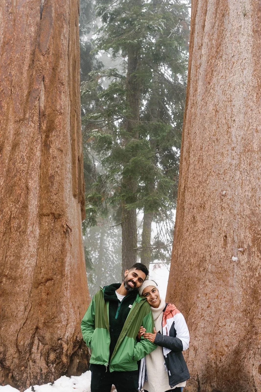 surprise-proposal-beetle-rock-sequoia-photo253.jpg