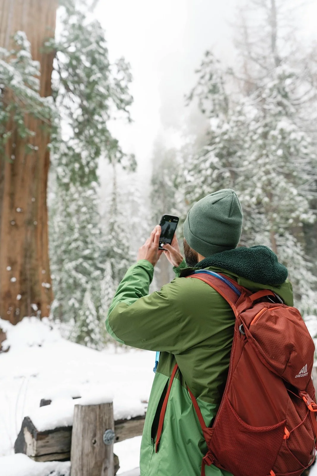 surprise-proposal-beetle-rock-sequoia-photo60.jpg