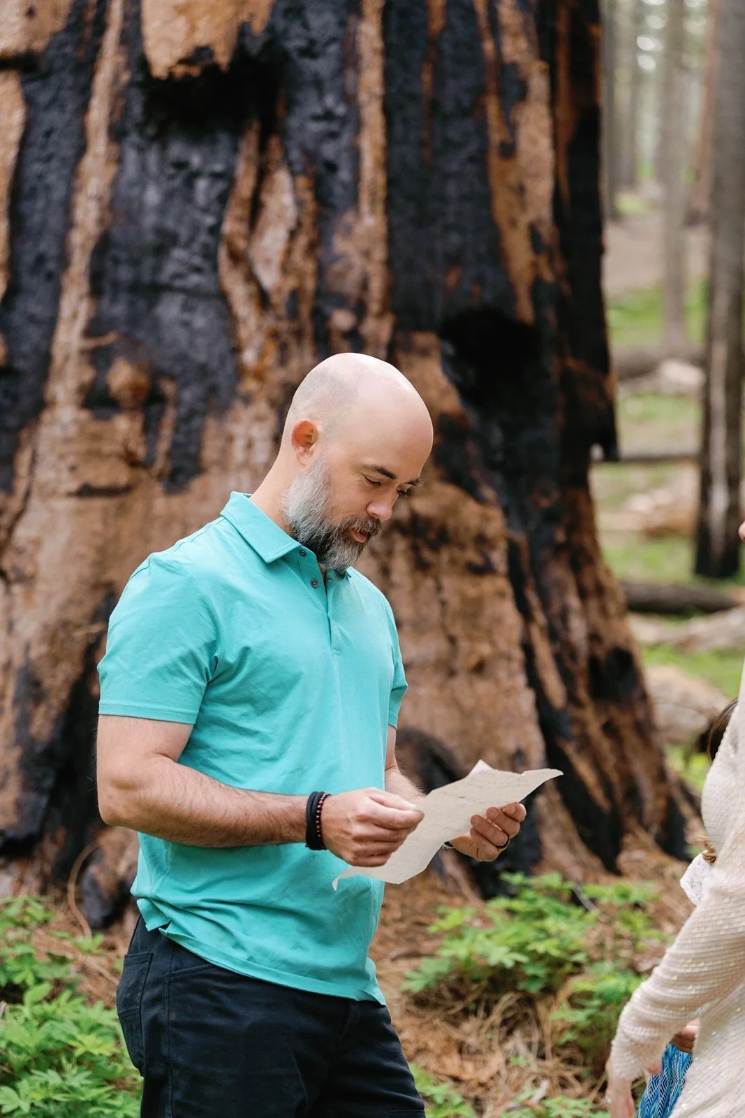 sequoia-national-park-elopement-photographer-193.jpg