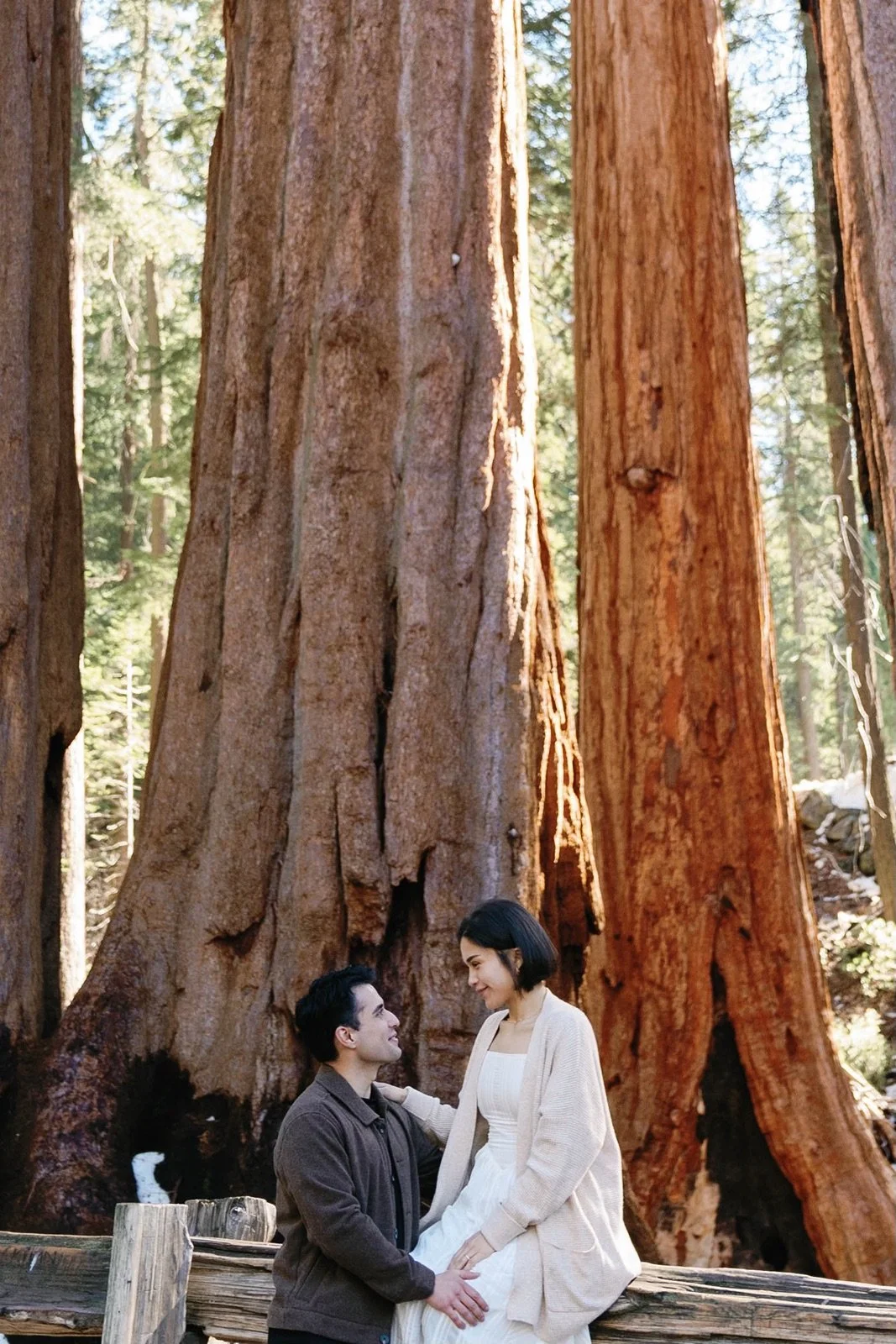 sequoia-national-park-proposal-engagement-1.jpg
