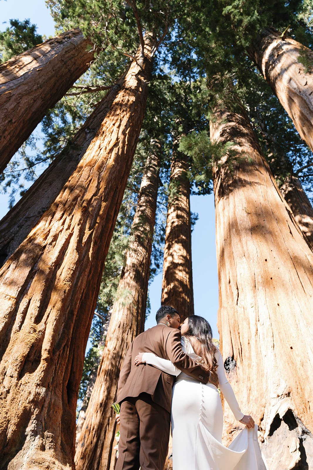 Bride and groom kiss at their Sequoia elopement