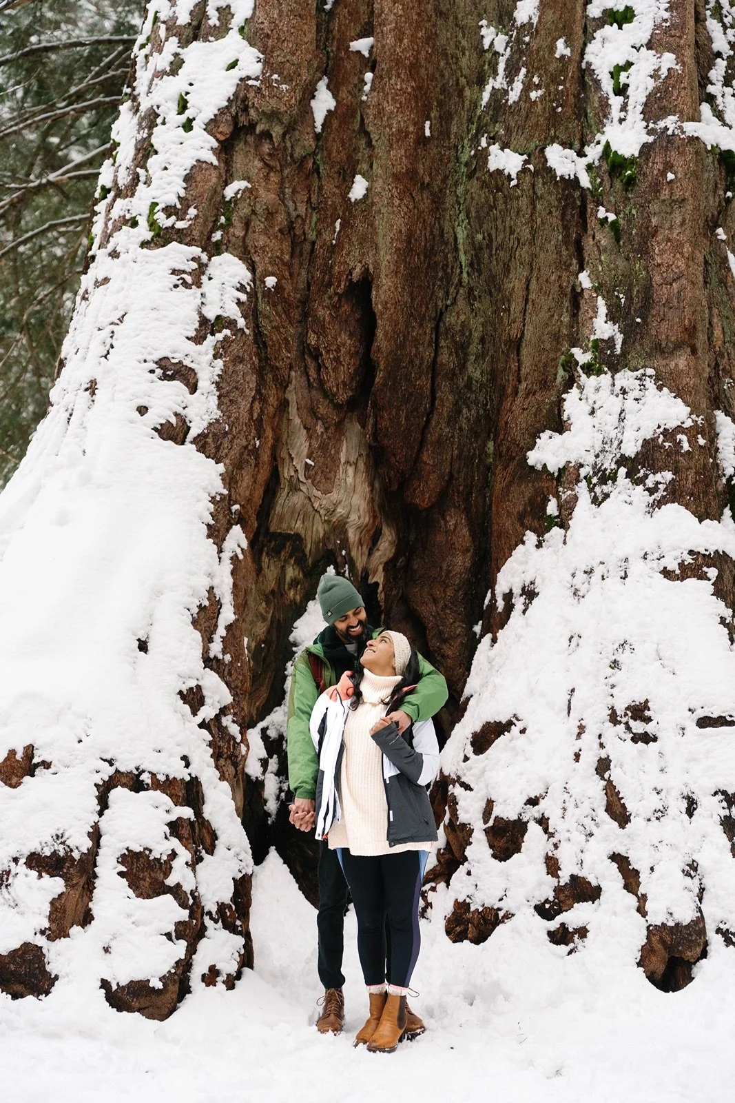 surprise-proposal-beetle-rock-sequoia-photo71.jpg