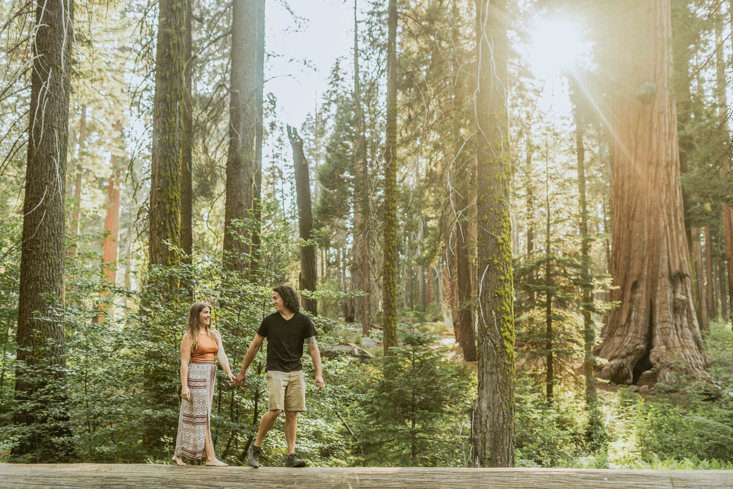 sequoia-national-park-engagment-photographer-4.jpg