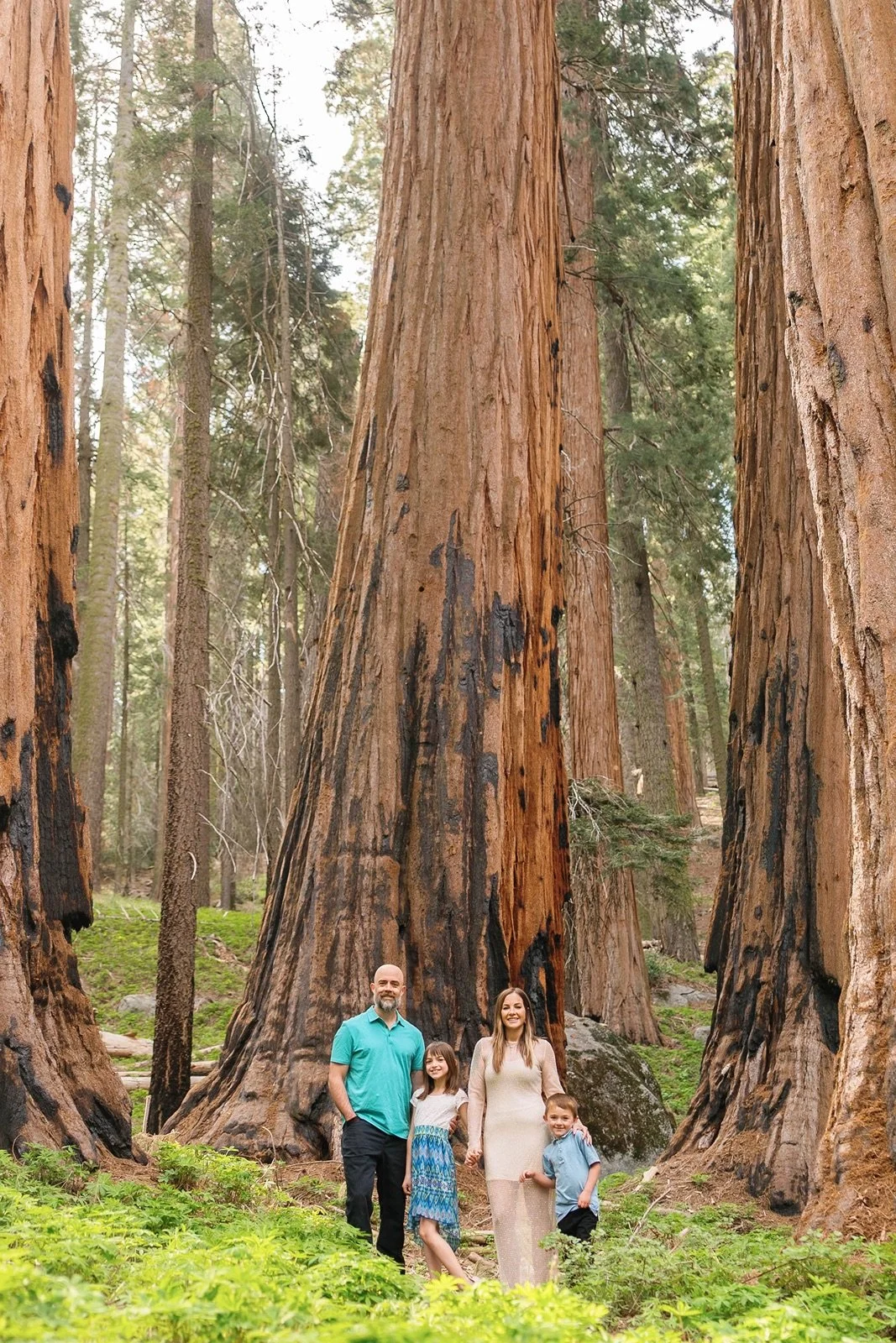 sequoia-national-park-wedding-congress-trail-10.jpg
