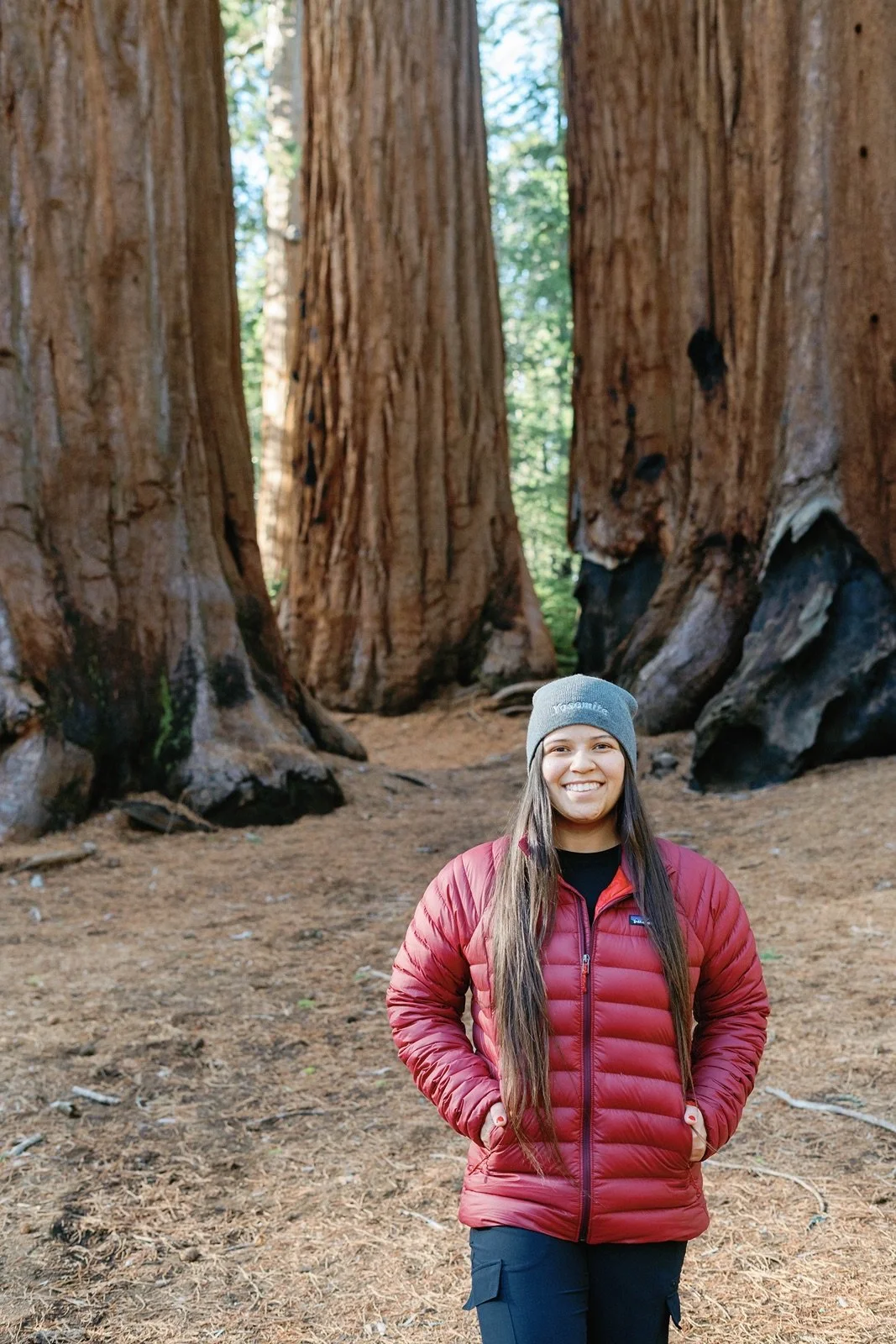 sequoia-national-park-photographer28.jpg