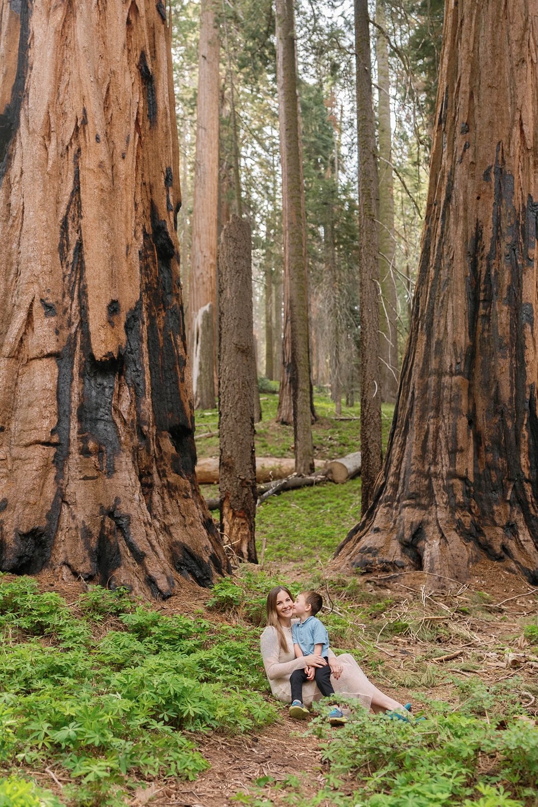 sequoia-national-park-elopement-photographer-119.jpg