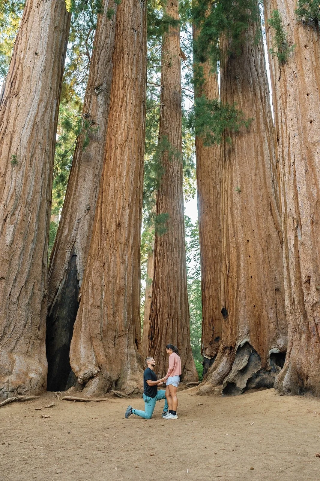 sequoia-national-park-engagment-session-111.jpg