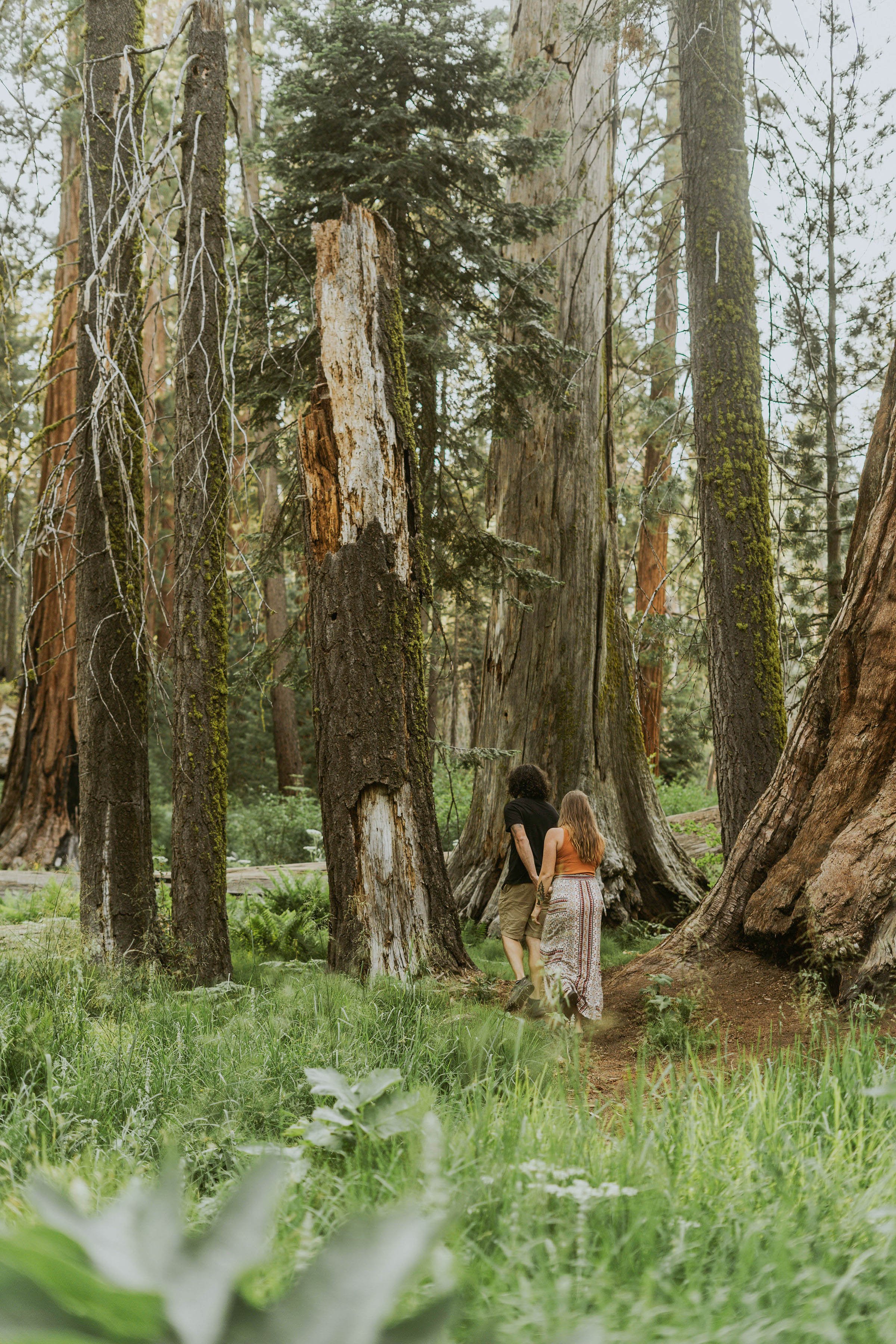 -sequoia-national-park-engagement-photos00170.jpg