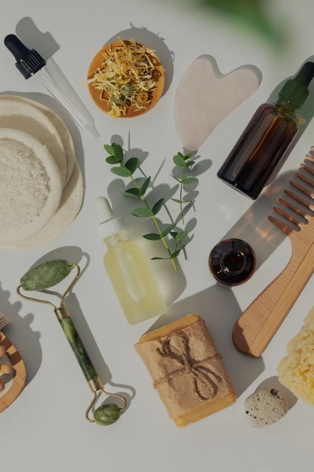 Green Muse Recommends: August Favorites for a Sustainable Lifestyle